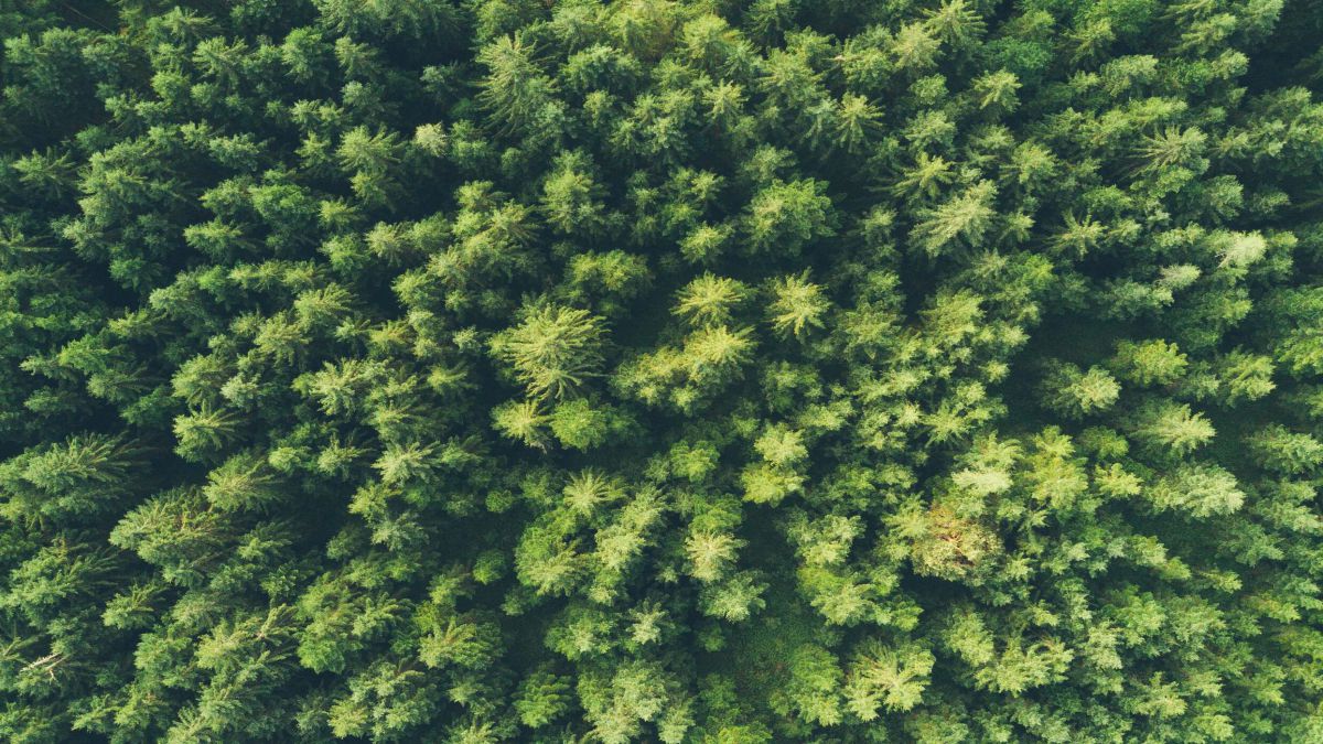 Curso de Gestión Integral de Prevención Calidad y Medioambiente