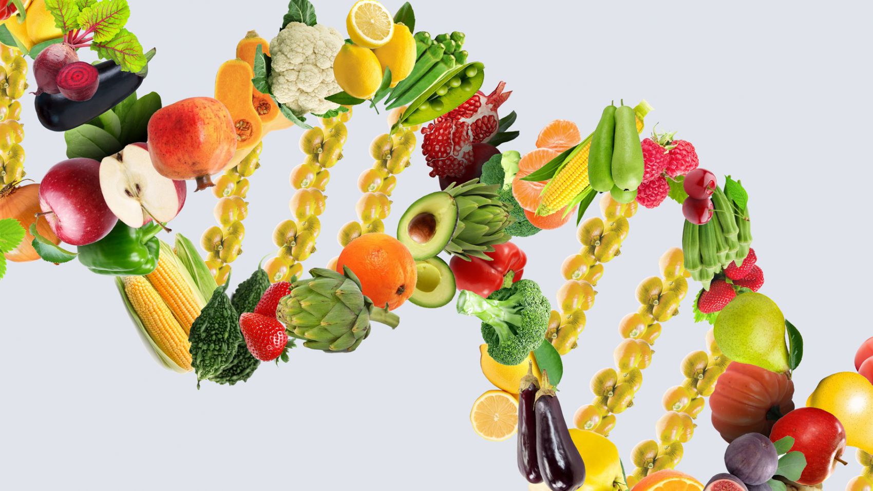 FP Superior en Dietética y Nutrición