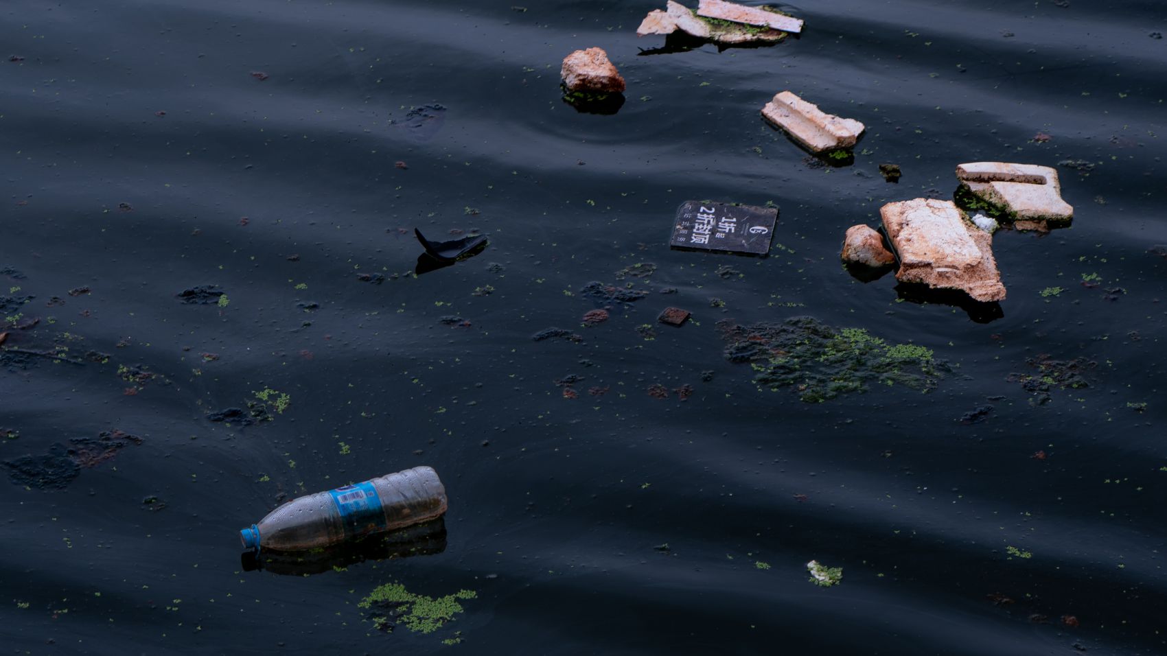 Curso de Experto en Contaminación de Aguas y Suelos