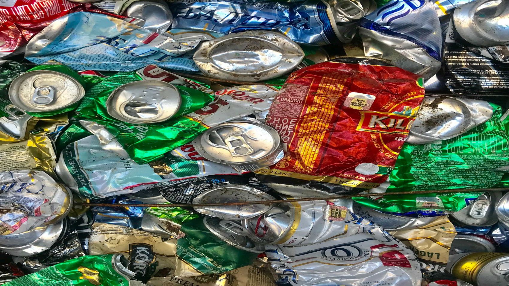 Técnico en Evaluación de Impacto Ambiental