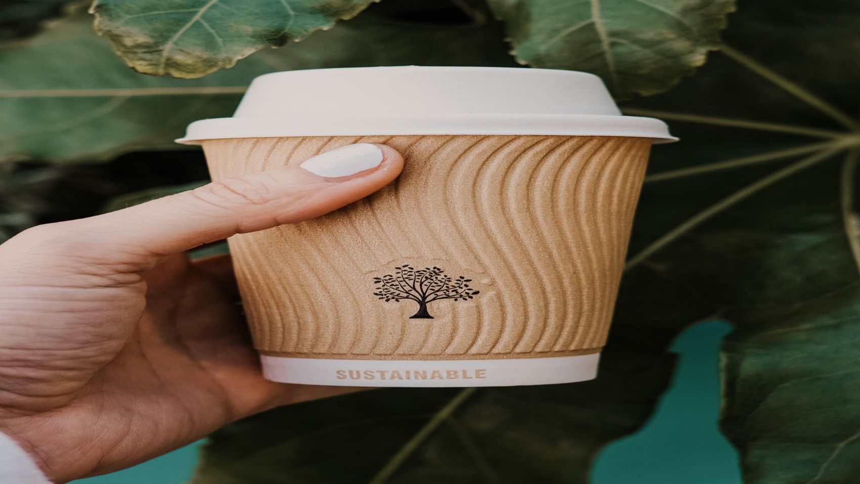 Experto en Cambio Climático Economía y Derecho Del Medio Ambiente