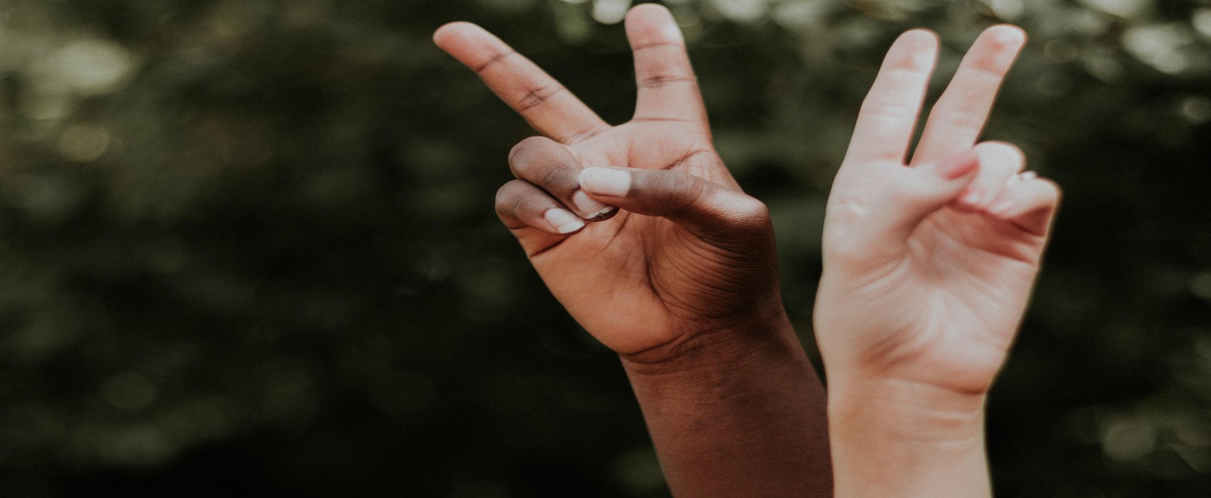 Técnico Superior en Integración Social