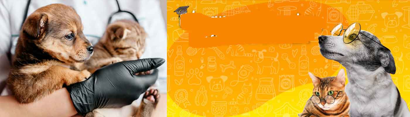 Máster en Etología Clínica y Bienestar en Animales de Compañía