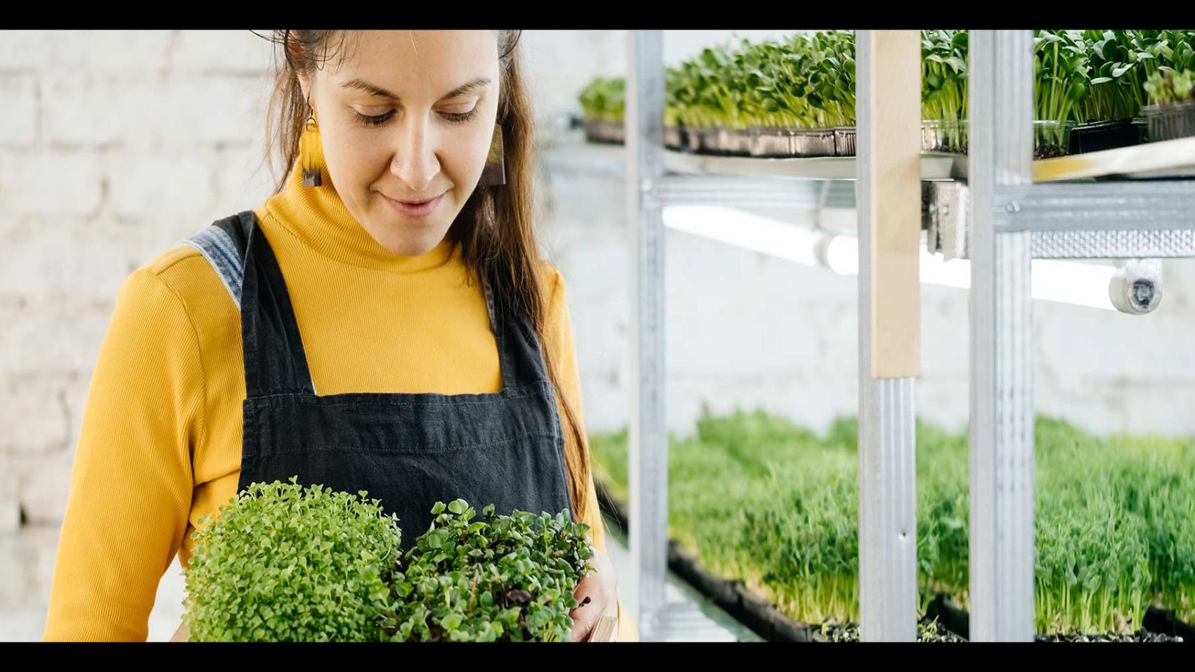 Programa de Especialización en Nutrición y Herbodietética