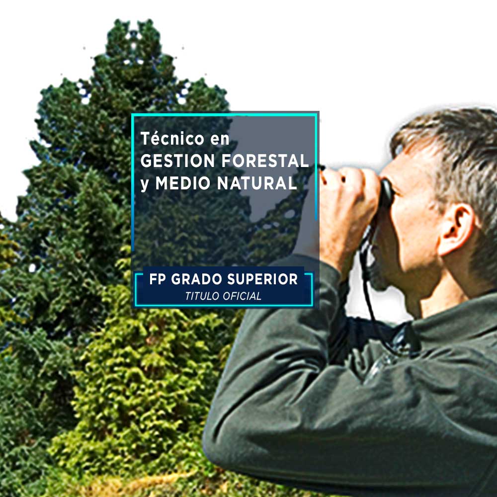 Oposiciones Gestión Forestal Gestión Forestal 