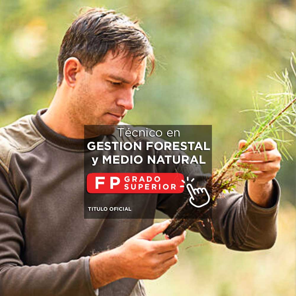 Oposiciones Guardias Forestales