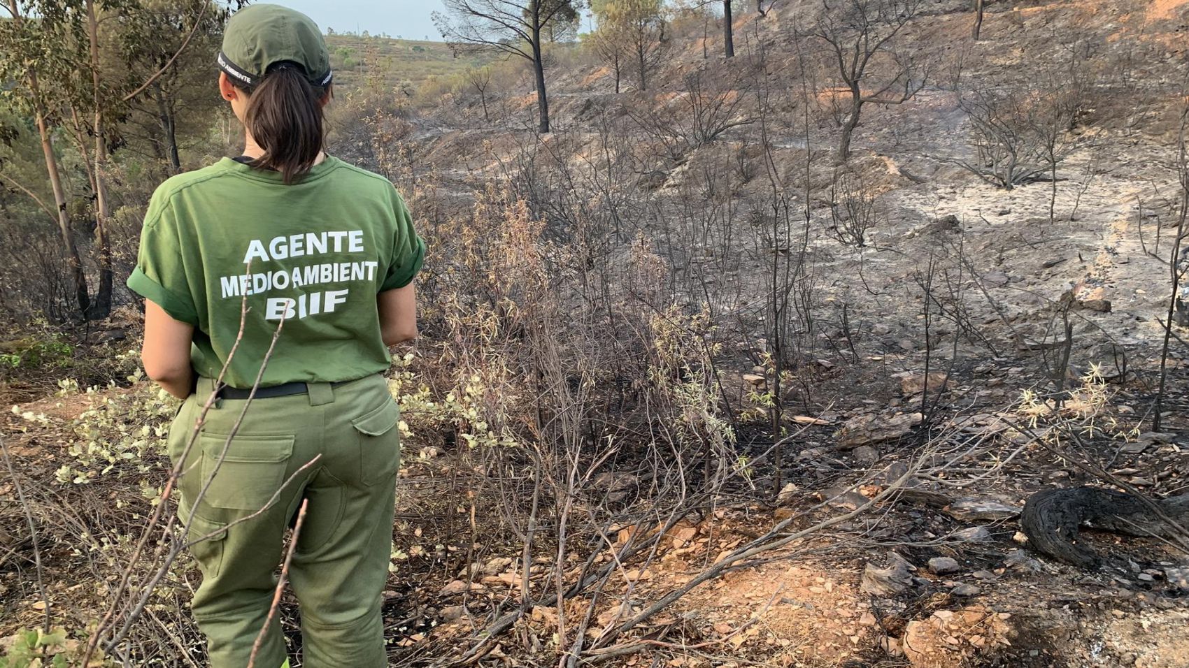 Oposiciones Guardia Forestal (Todas las Comunidades)