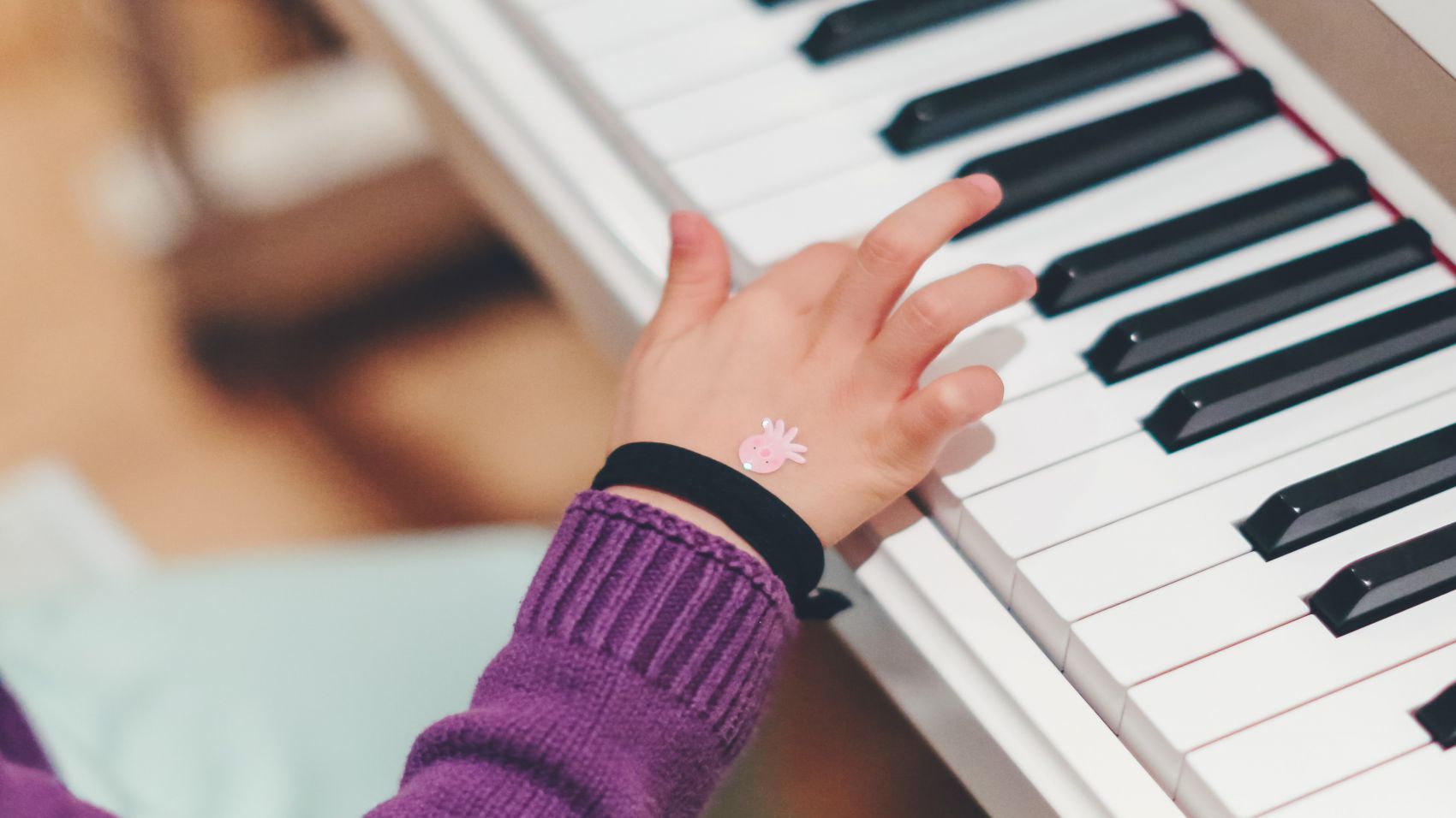 Mención en Educación Musical (Educación Primaria)