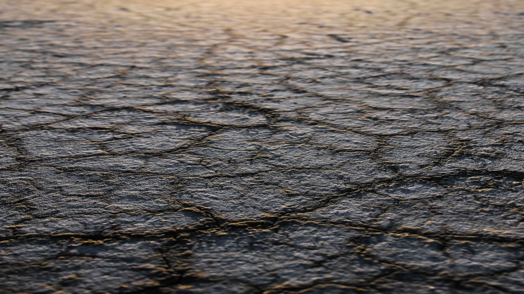 Curso Superior en Cambio Climático