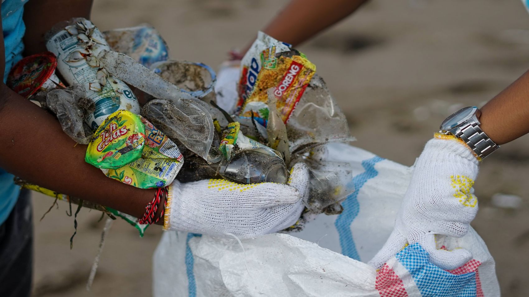 Curso Superior en Introducción a los Estudios de Impacto Ambiental