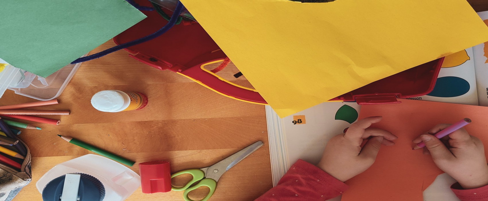 Técnico Superior en Educación Infantil