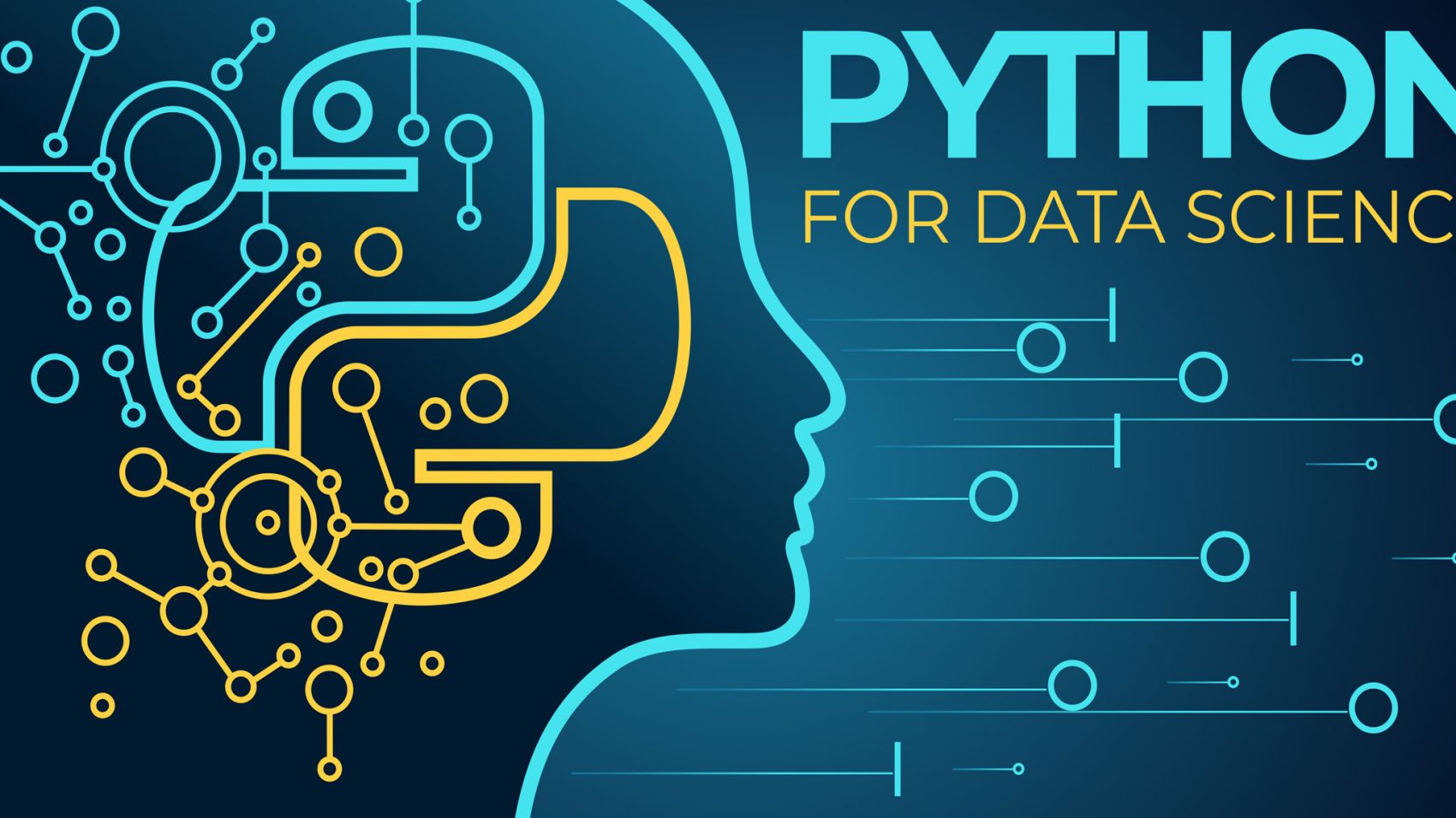 Experto en Python para Data Science