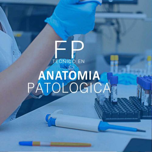 Participa en la recolección, procesamiento y conservación de tejidos humanos para trasplantes y estudios de investigación.