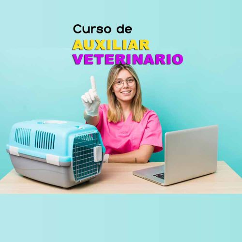 Auxiliar Veterinario y Cuidador de Animales de Zoológico