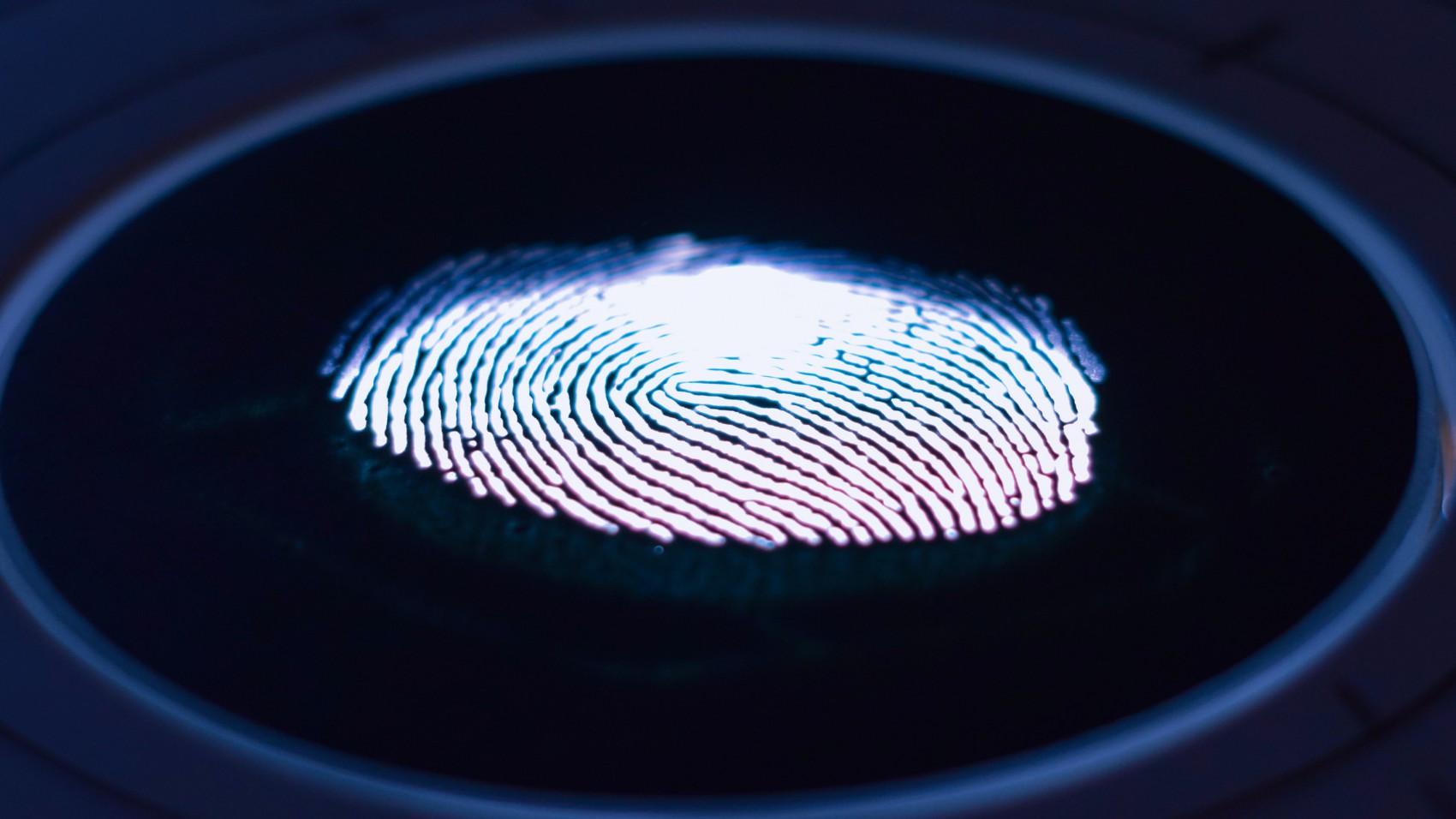 Perito en Criminalística