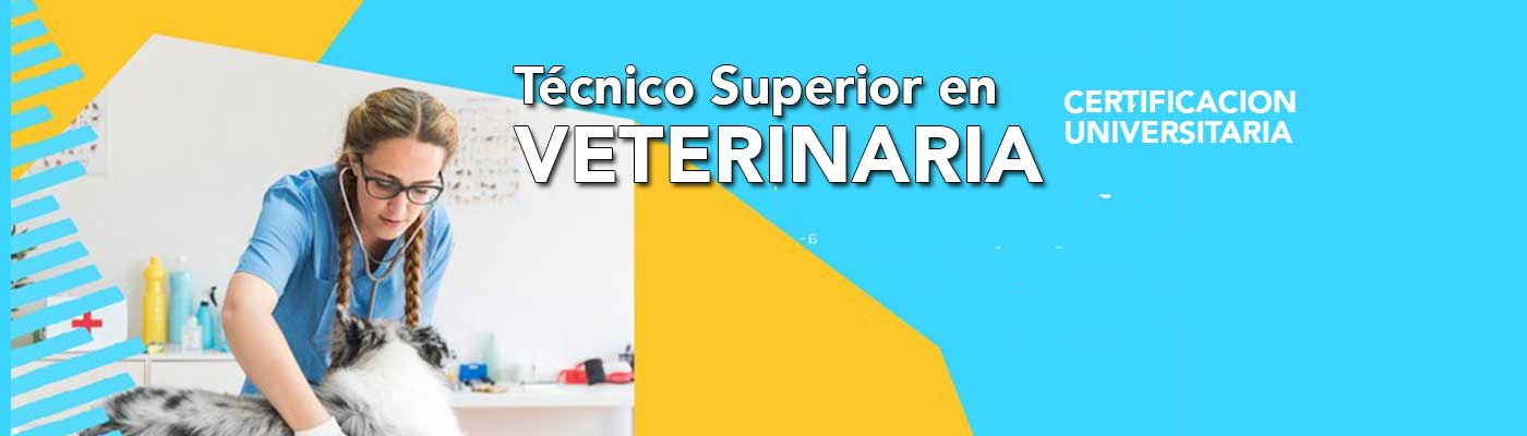 Técnico Superior en Veterinaria