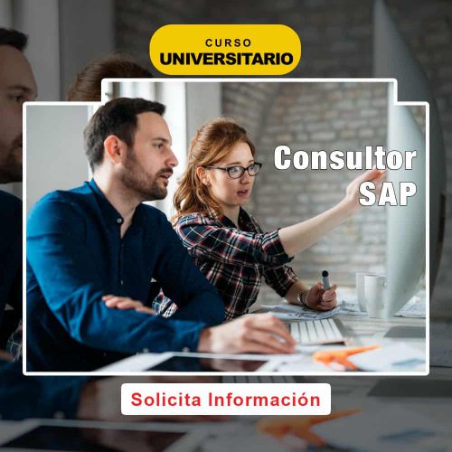 Curso de Consultor SAP