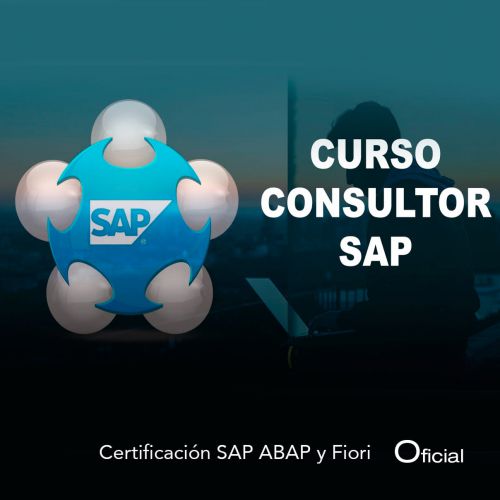 Consultor SAP: Fundamentos y Principio