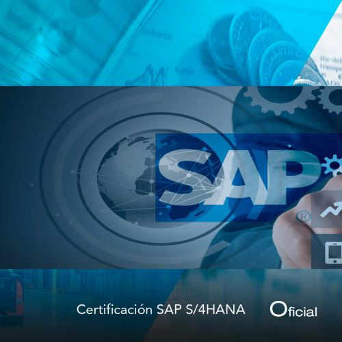 Consultor SAP: Módulo Financiero y Controlling