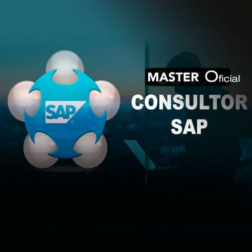 Introducción al Consultor SAP: Implementación y Configuración