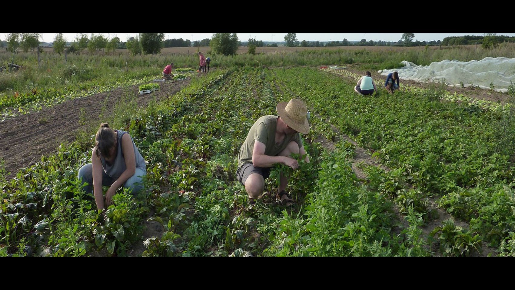 Curso de Especialista en Agricultura Ecológica
