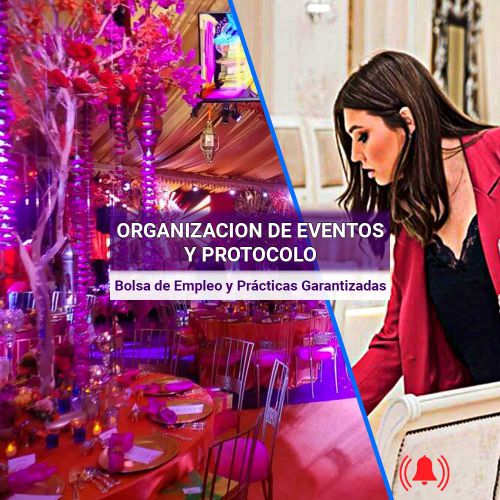 Especialista en Marketing de Eventos