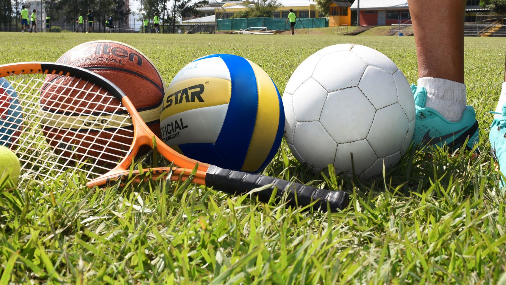 Máster Universitario en Gestión Deportiva