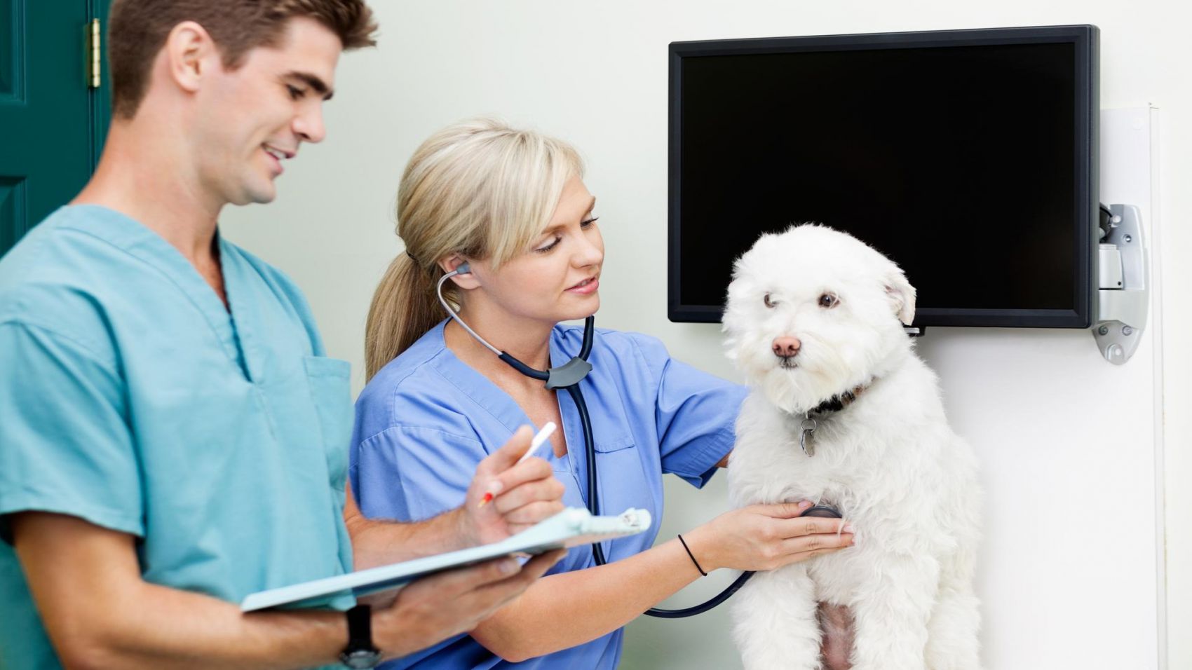 Auxiliar Técnico Veterinario