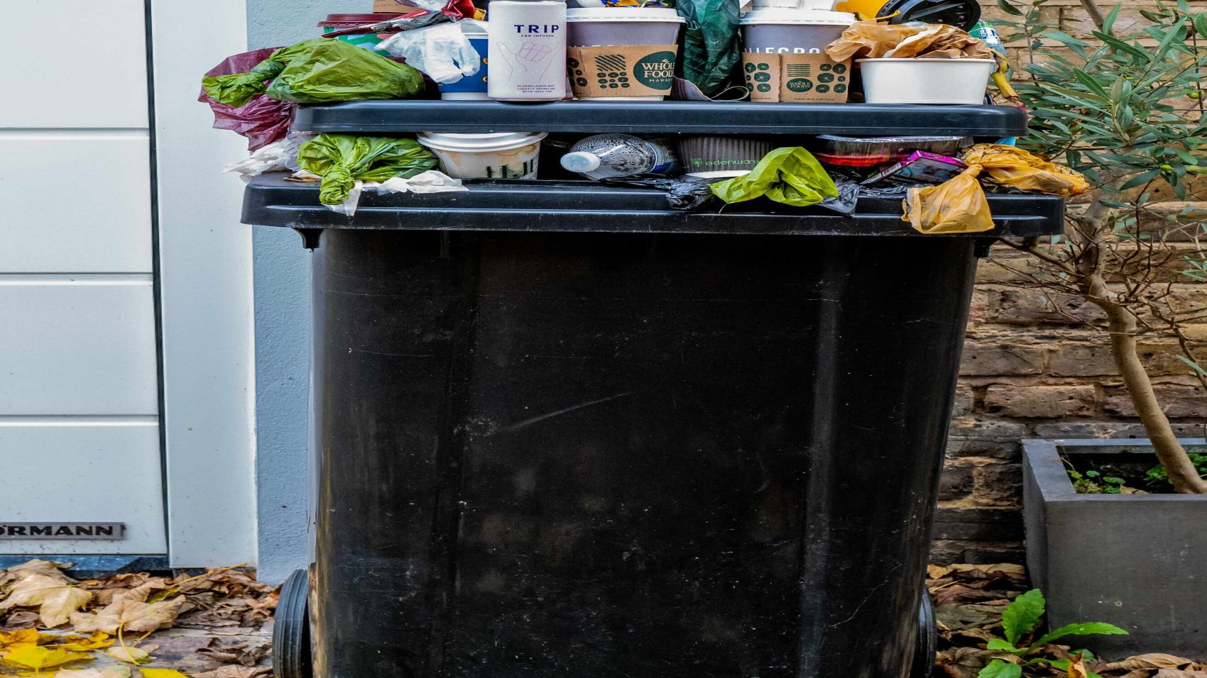 Gestión Medio Ambiental en Instalaciones Deportivas