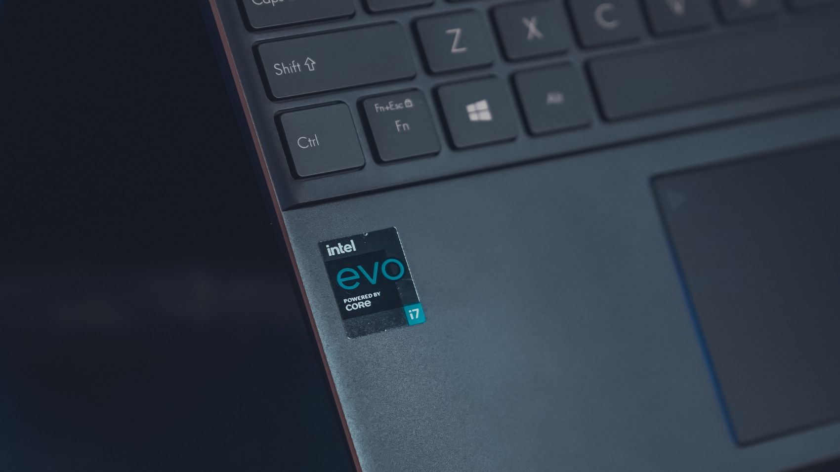 Experto en SAP (Acceso Servidor SAP para Prácticas)
