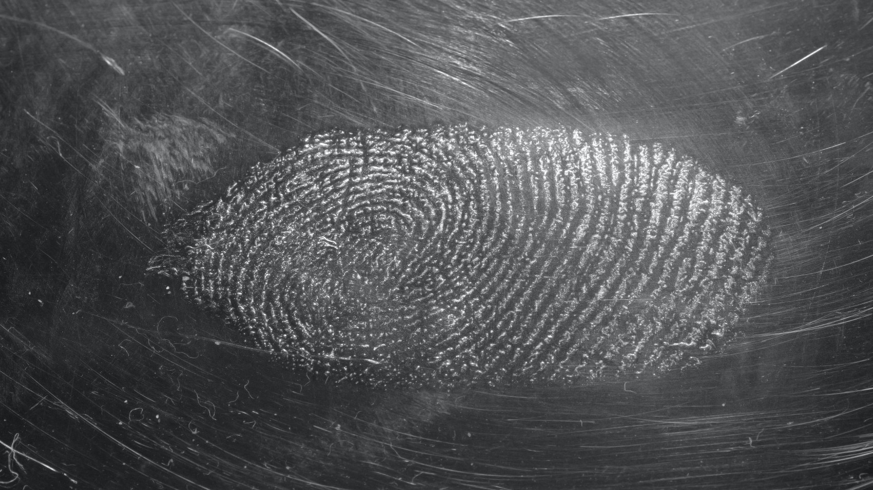 Curso de Perito Judicial Criminalístico