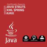 Desarrollador de aplicaciones en entornos web