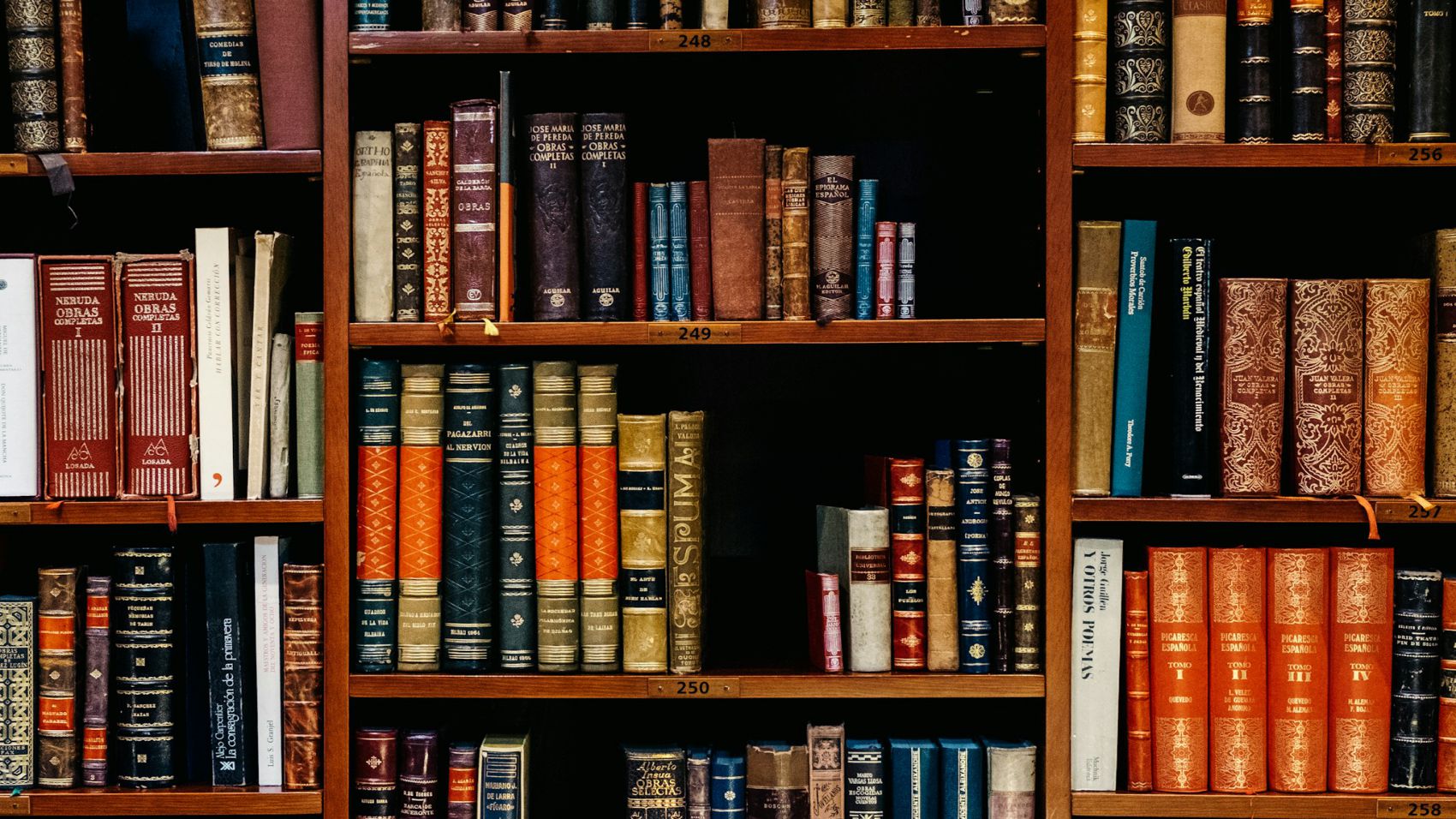 Máster en Literatura Española e Hispanoamericana