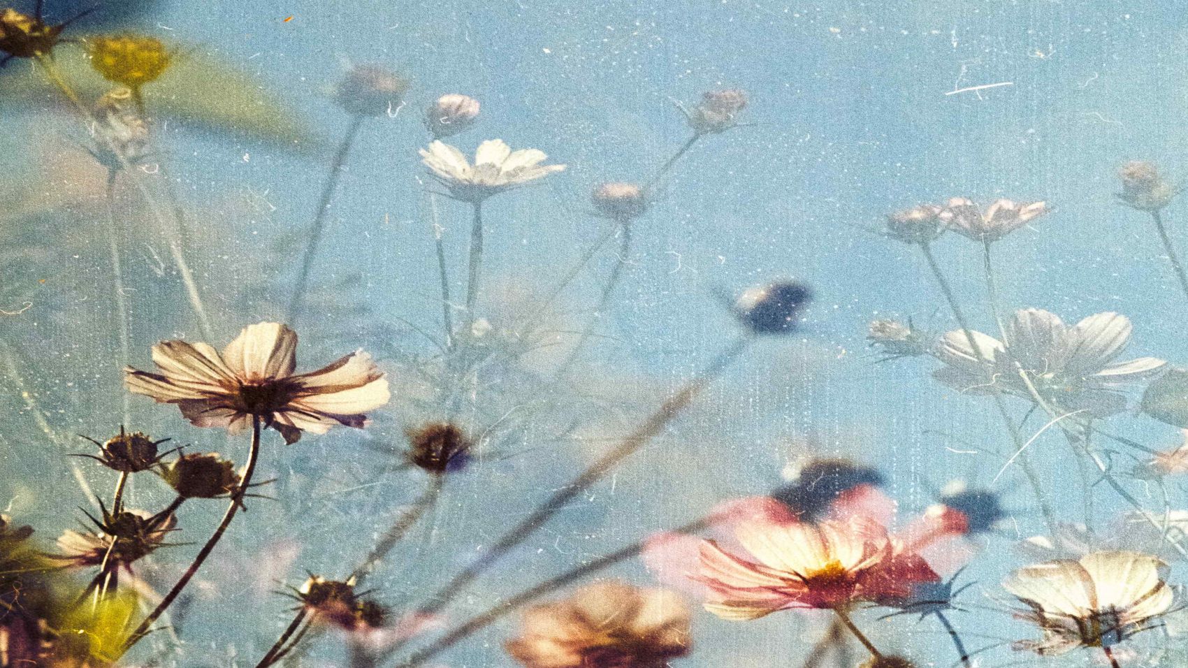 Curso de Floristería y Arte Floral