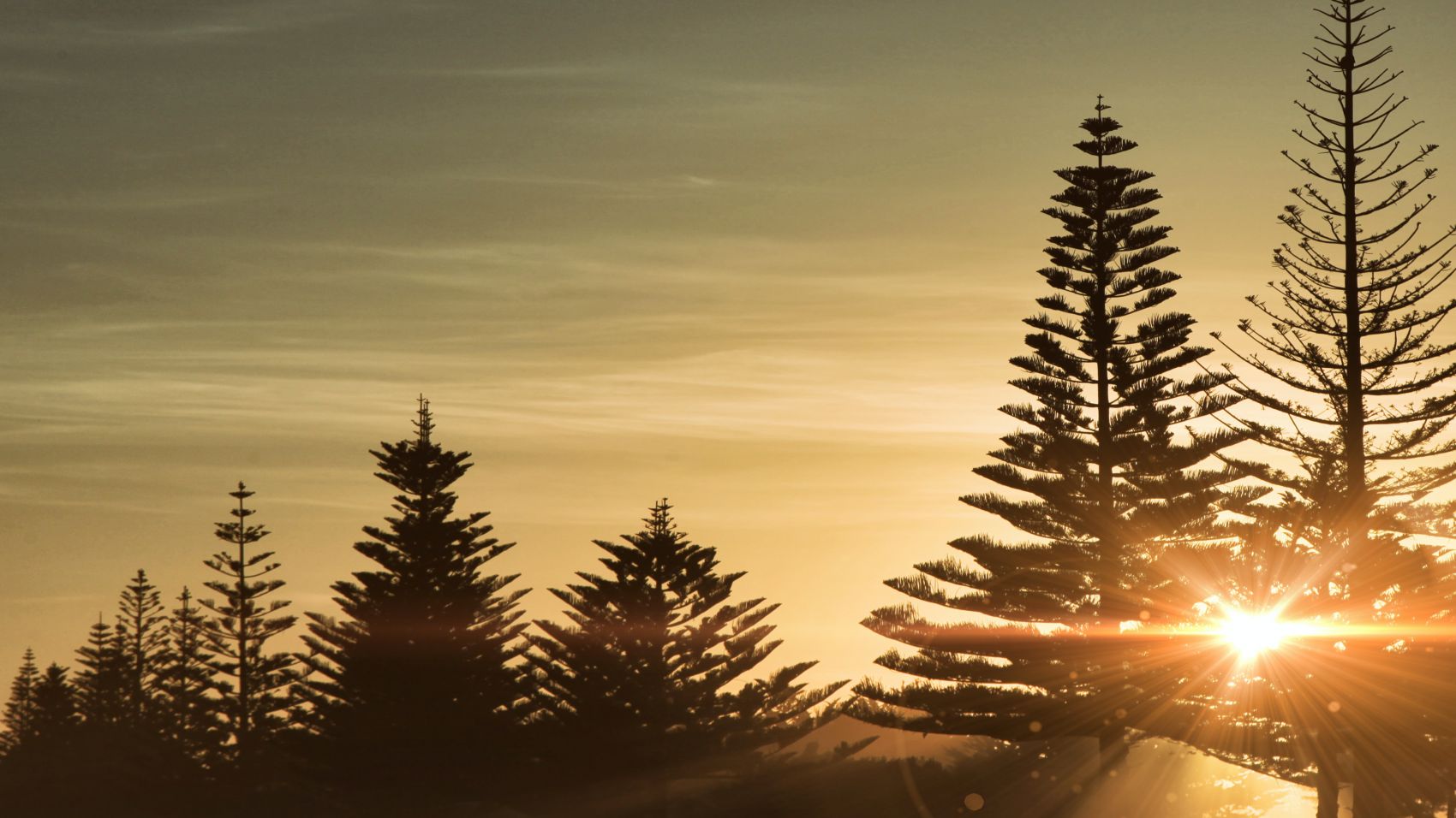 Curso Preparación Oposición Agente Forestal para la Comunidad de Madrid