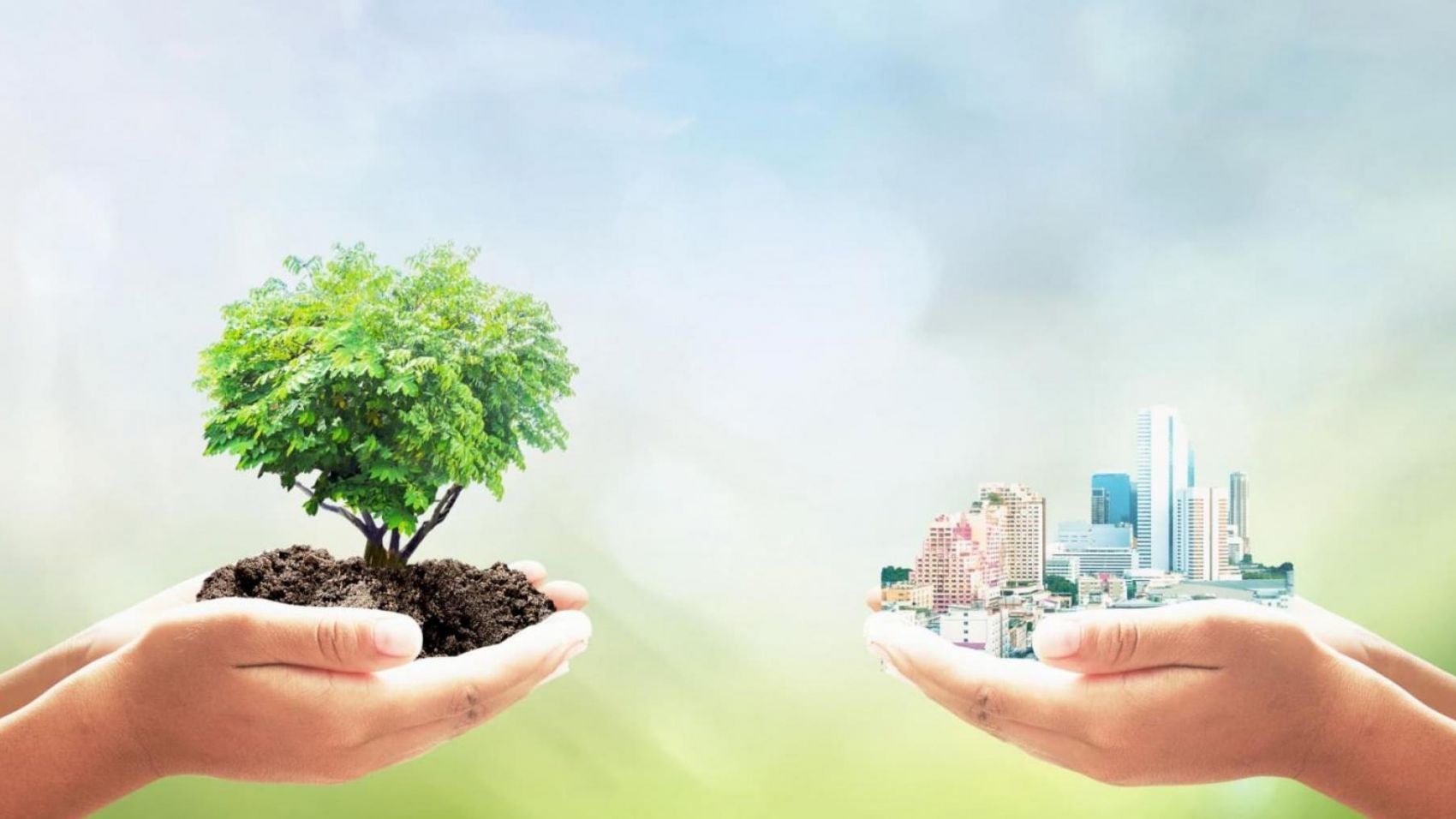 Máster Universitario en Economia Circular y Desarrollo Sostenible