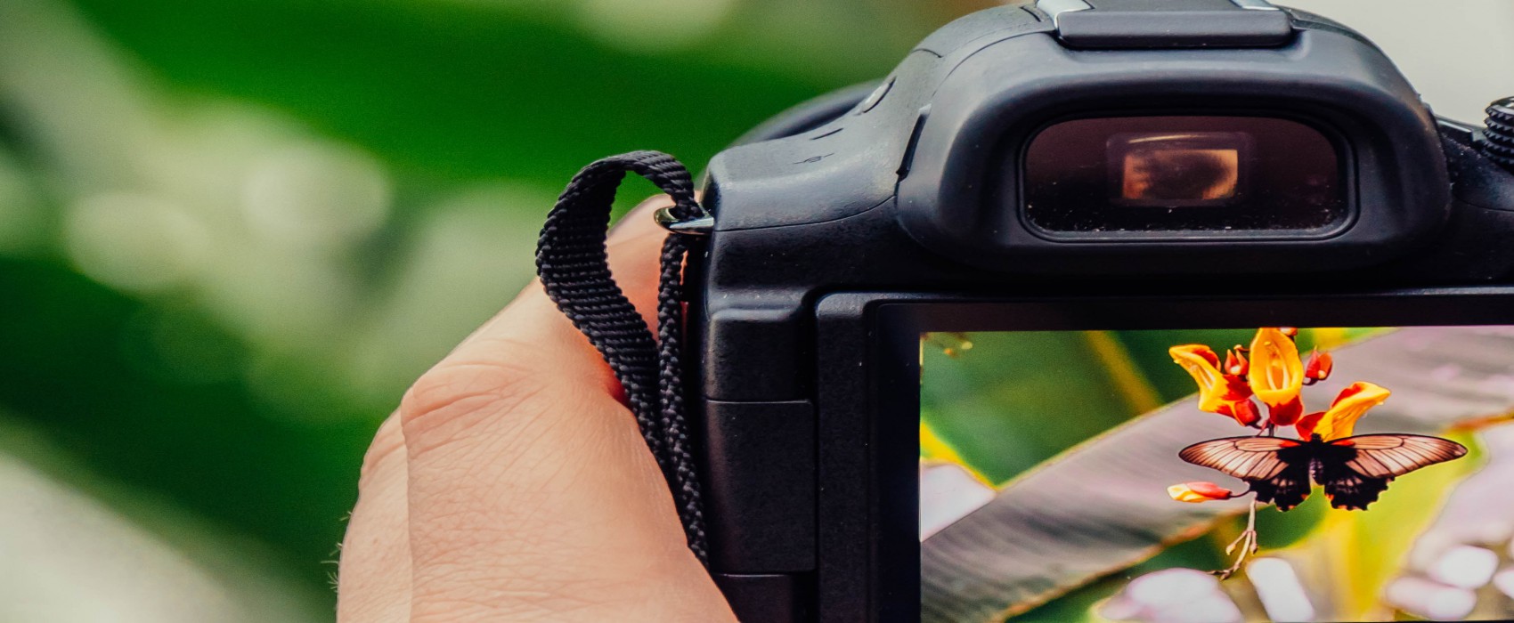 Curso de Iniciacion a la Fotografía Digital