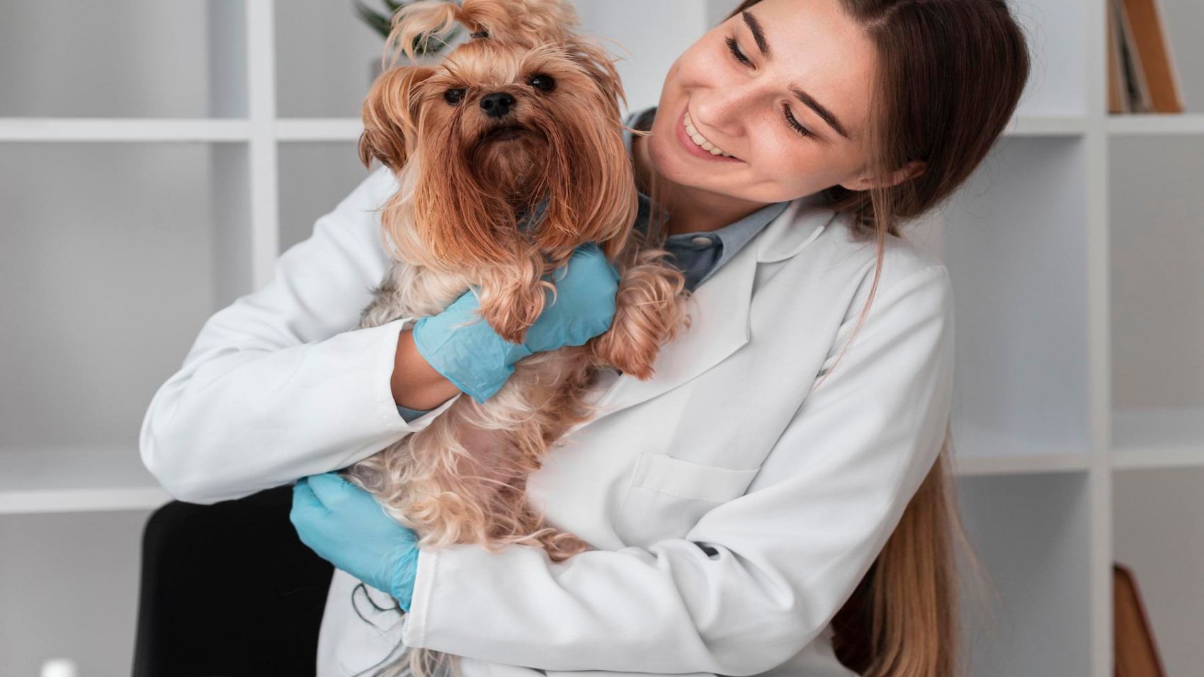 Curso de Auxiliar en Centros Veterinarios