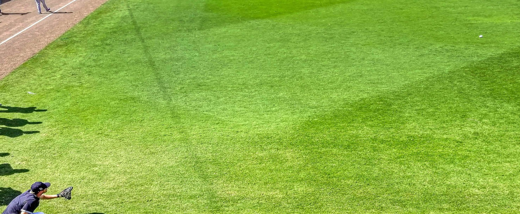 Enseñanza y Animación Sociodeportiva FP Superior Tafad