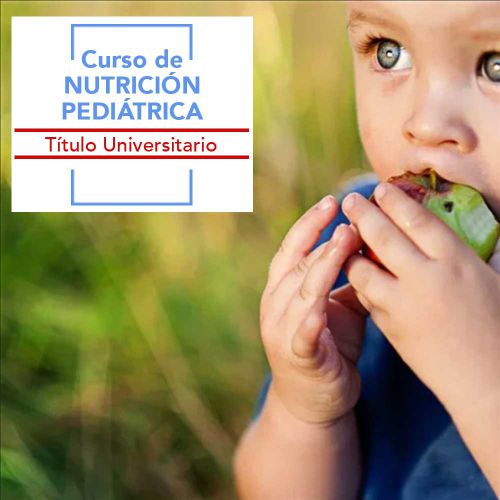 Curso de Nutricionista en hospitales y clínicas pediátricas.