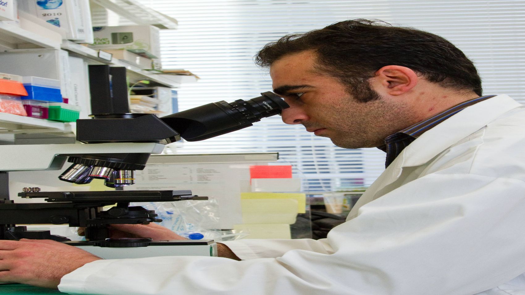 Master en Análisis Clínicos