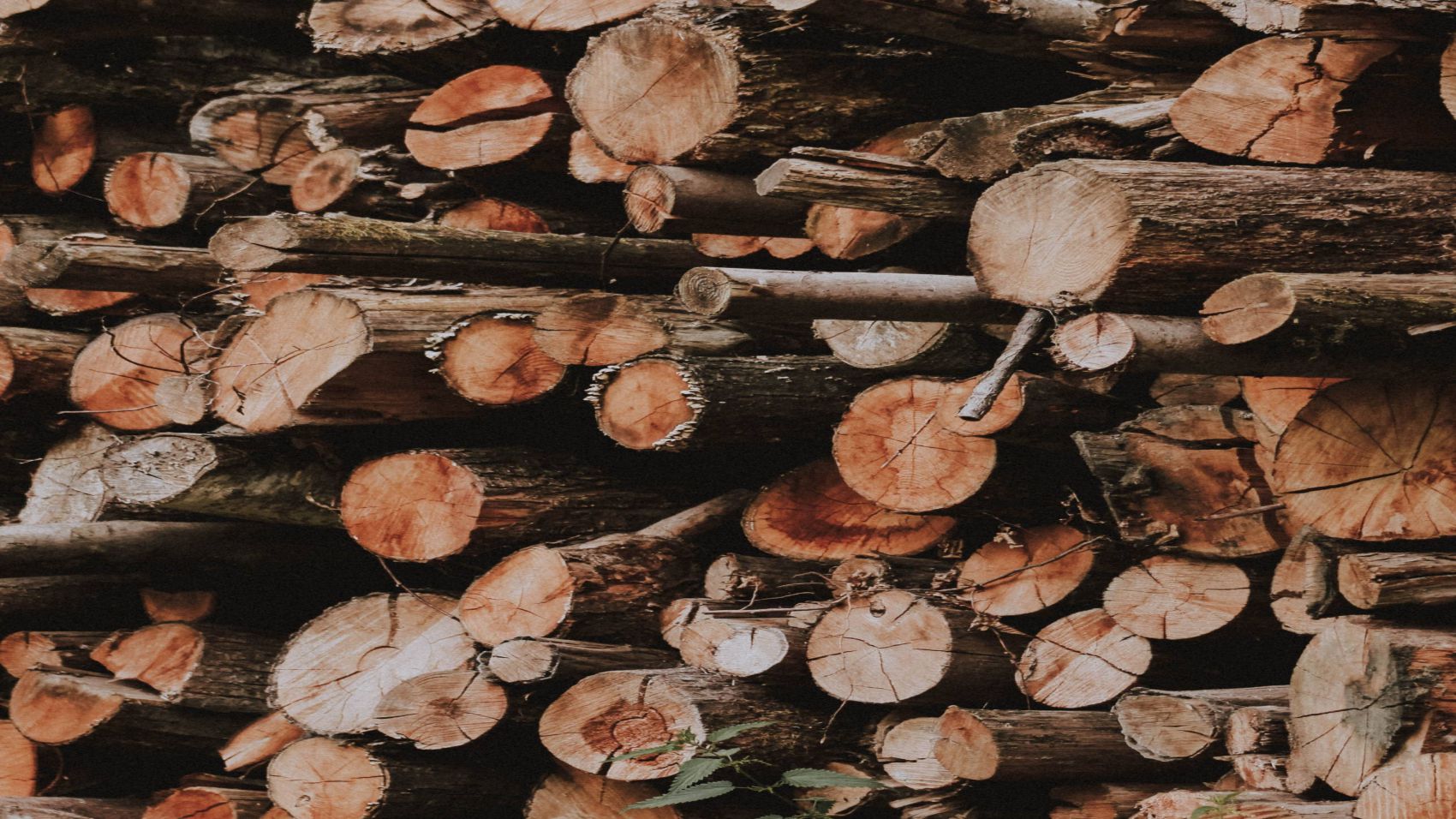 Oposición Auxilar Técnico para Andalucia Del Medio Ambiente