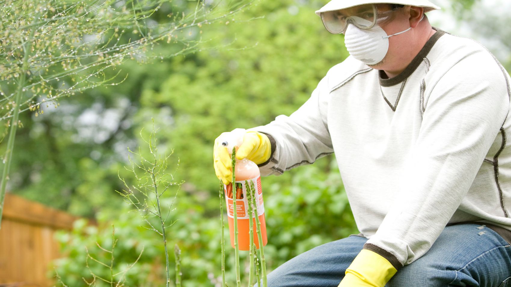 Curso de Auditoría de Prevención de Riesgos Laborales