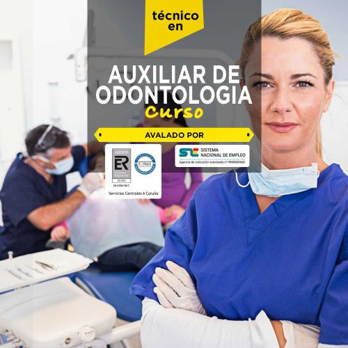 Anatomía Oral y Dental: Conocimientos Básicos para el Auxiliar de Odontología