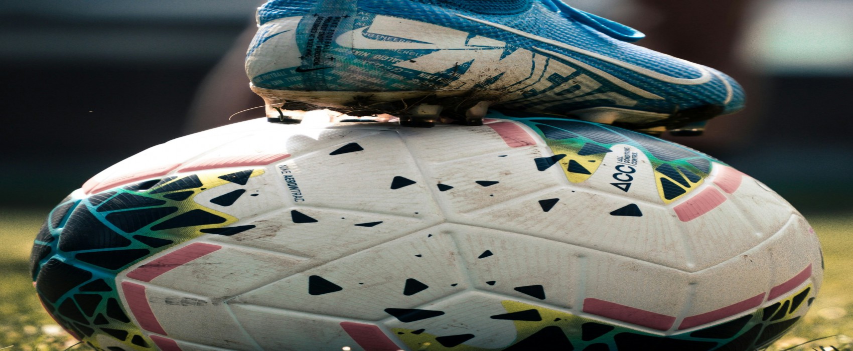 Experto Universitario en Estrategias Nutricionales en el Deporte