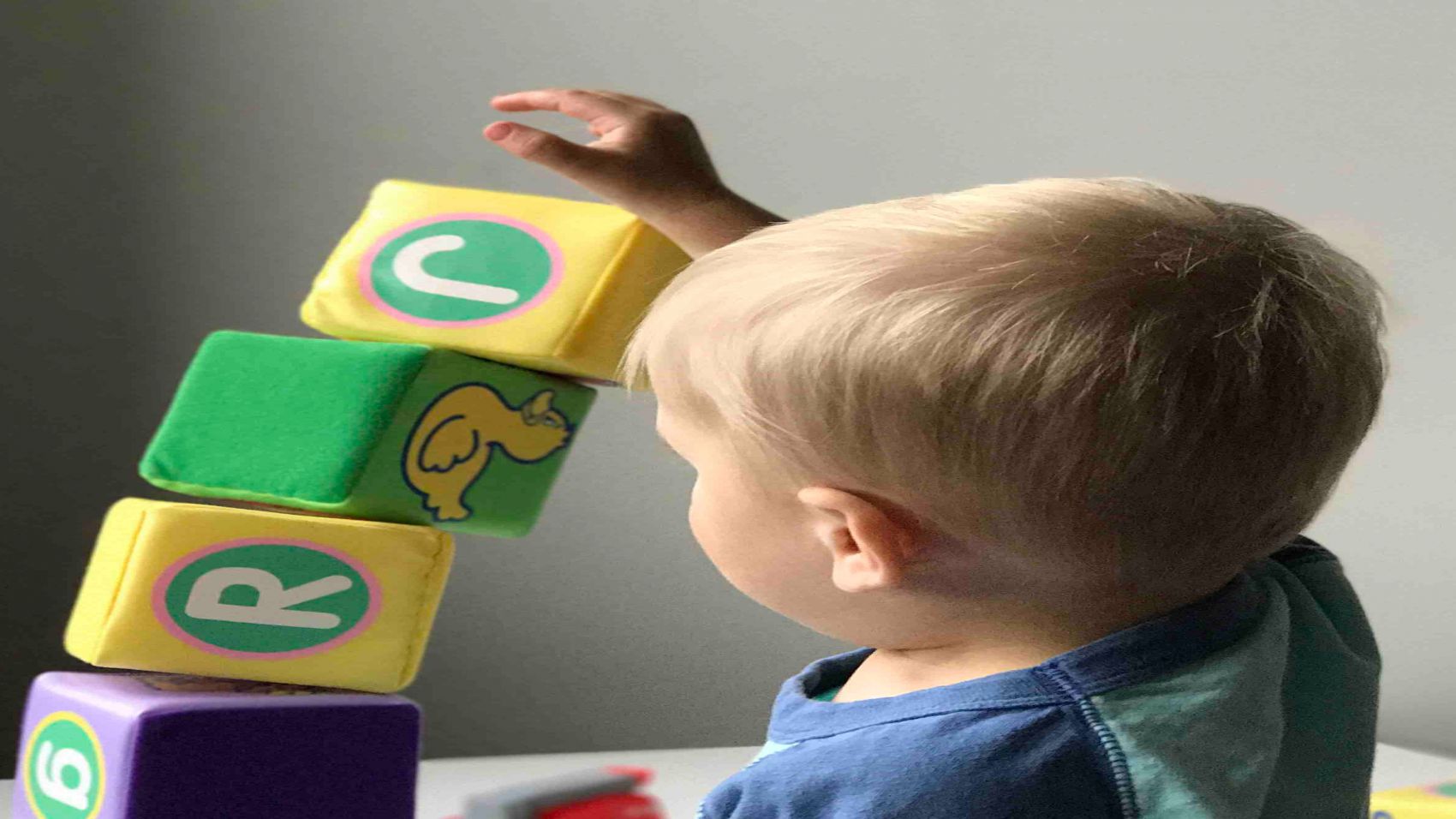 Especialista Educación Infantil y Jardín de Infancia