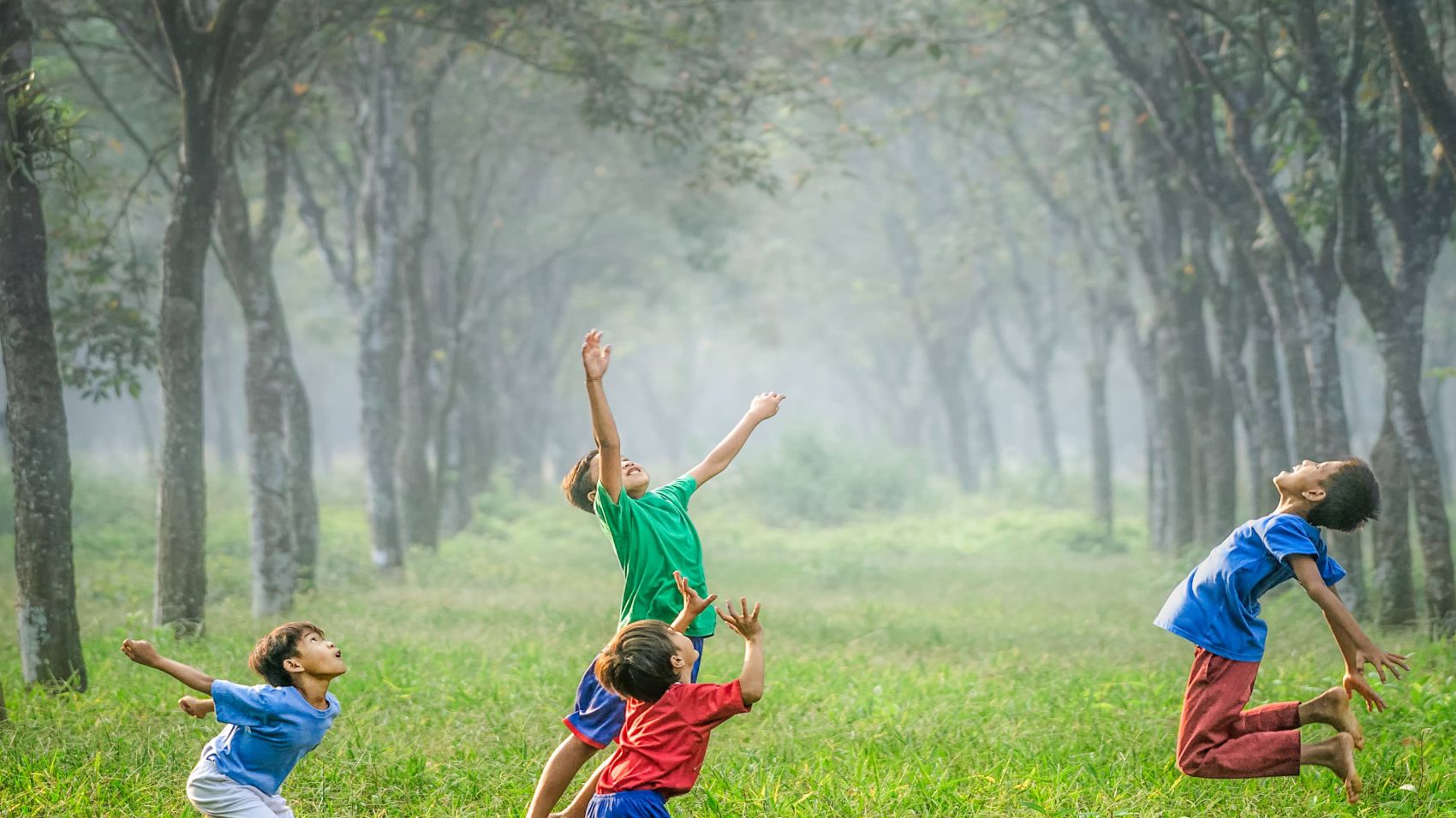 Curso de Psicología Infantil y Juvenil