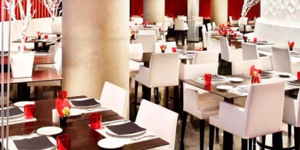 Cocina y Gastronomía