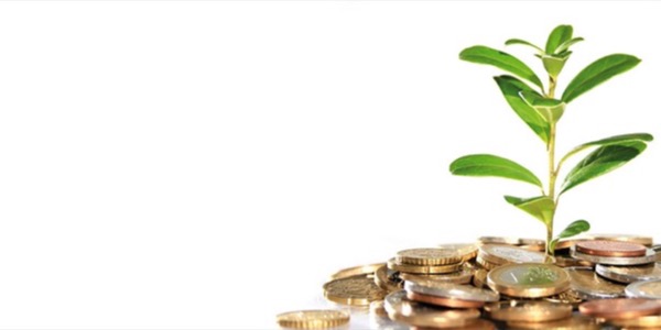 Curso Universitario de Especialización en Asesoría de Empresas: Fiscal, Laboral y Contable